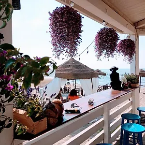 Purple Italy Bed and Breakfast